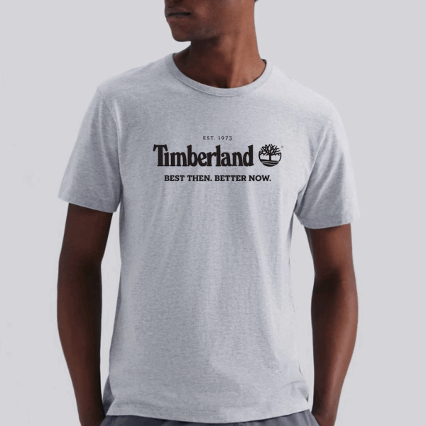 CAMISETA CINZA LOGO ESTABLISHED