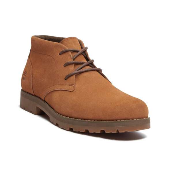 81eLBTkJz5L._AC_SX679_