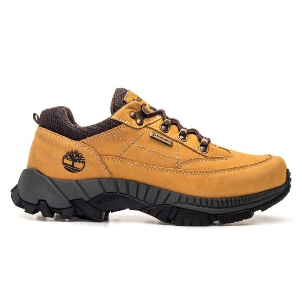 WhatsApp Image 2025-11-25 at 10.31.15 (1)